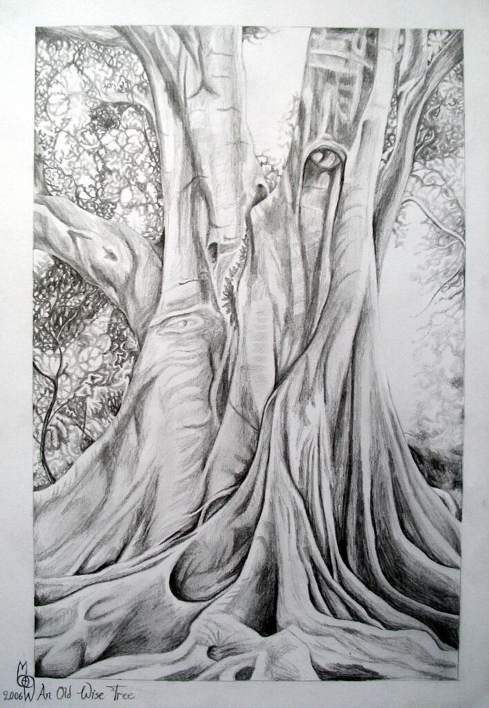 An Old Wise Tree