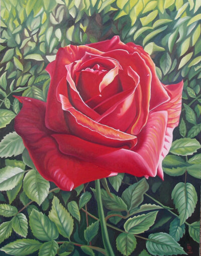 "Ashkelon Rose" - 2006 - Oil on canvas - 100x80cm - Sold